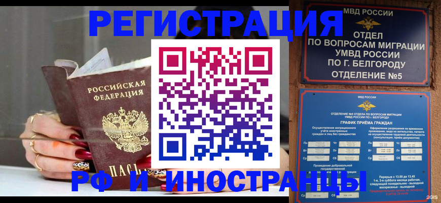 прописка в Бердске